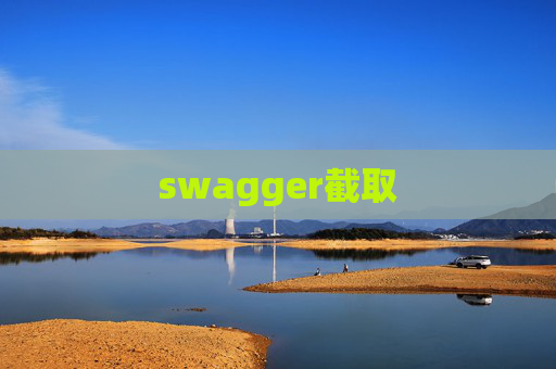 swagger截取